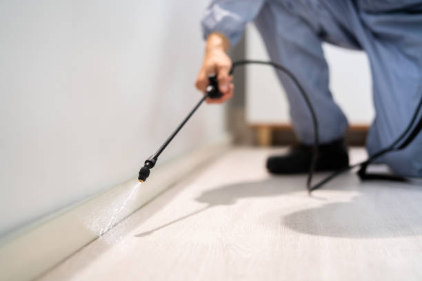 Bed Bug Pre-Treatment Preparation Assessment in Buckhead Ridge