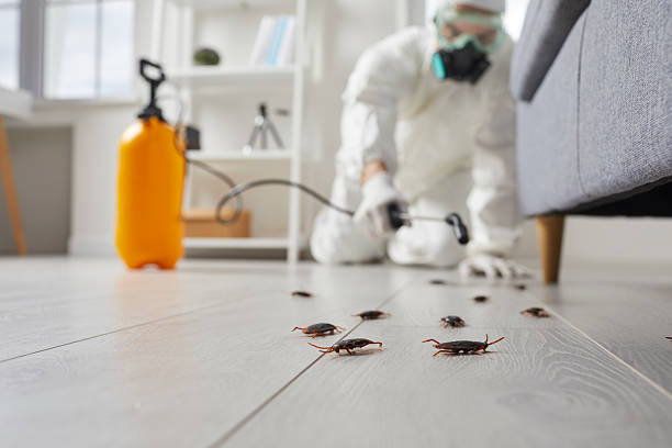 Post-Treatment Bed Bug Interceptor Monitoring in Buckhead Ridge