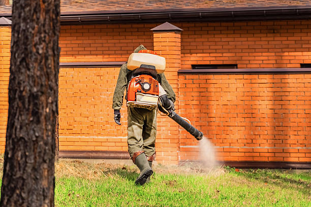 Bed Bug Clearance Verification and Documentation in Buckhead Ridge